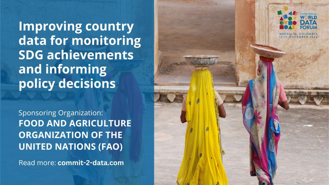 Data for Decision-Making: Technical Assistance for SDGs